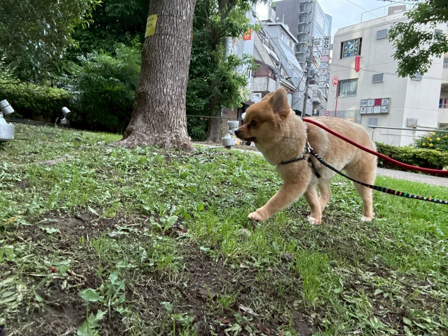 本日は社員旅行の一部です！！in山梨
